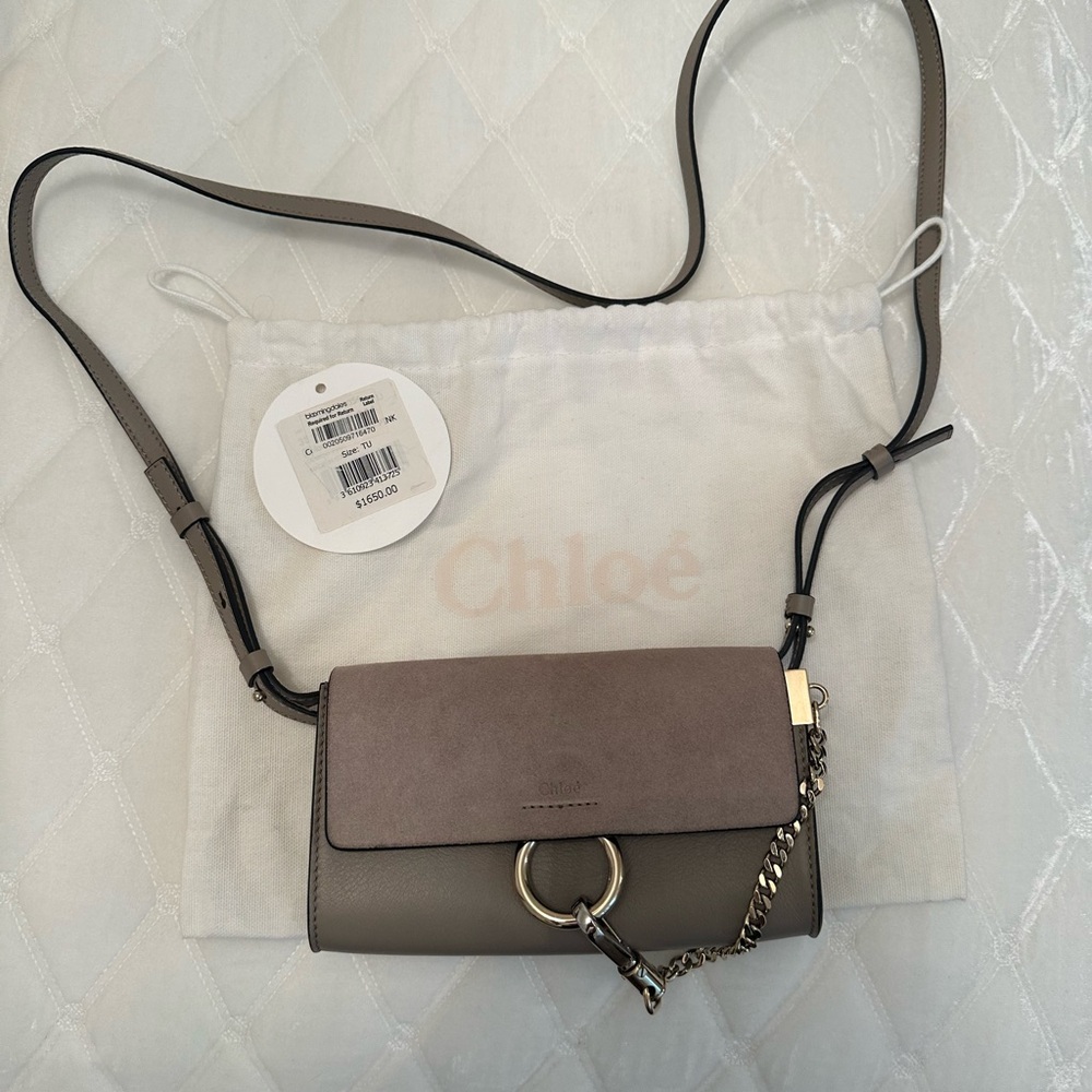 Chloé Pre-Owned
2016 Small Suede and Calfskin Faye crossbody bag